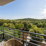 Olea Di