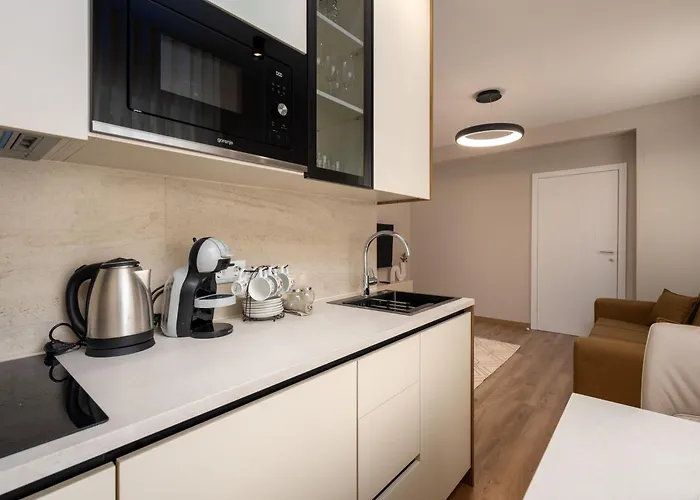 Olea Di * 브르사르